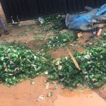 Crates of “33 Export” Shattered in Igbo-Oluwo Estate